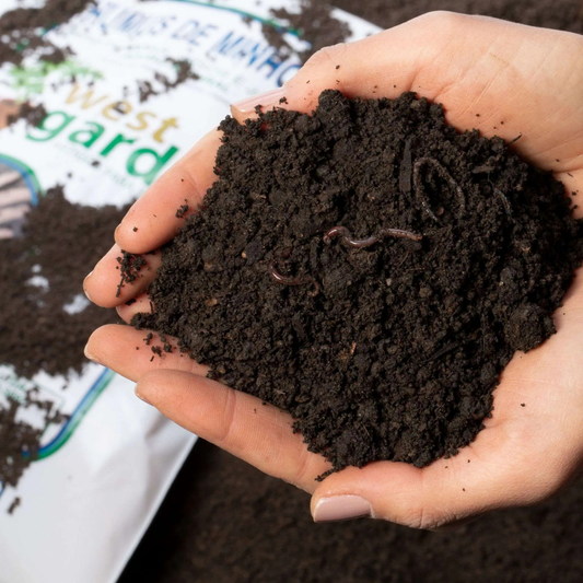 Húmus de Minhoca Orgânico Natural para Adubação e Jardinagem