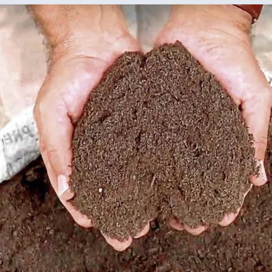 Esterco de Galinha Orgânico 2,1kg Adubo Natural para Hortas e Jardins