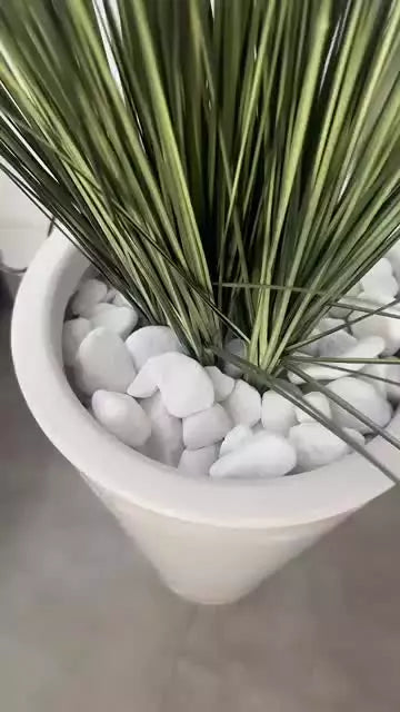 Pedra Seixo Branco Dolomita para Jardim, Vasos e Aquário