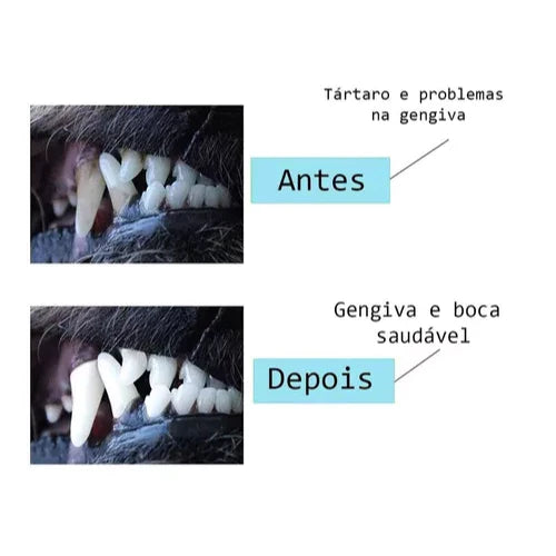 Mordedor Bananinha Escova de Dente para Cachorro MAYLON PET