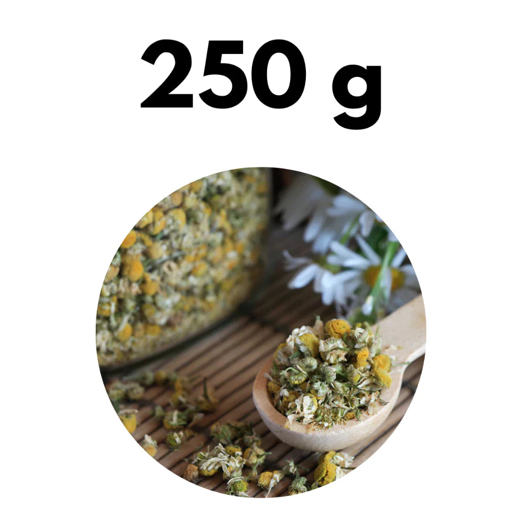Camomila Flor Premium 100% Natural para Chá Relaxante
