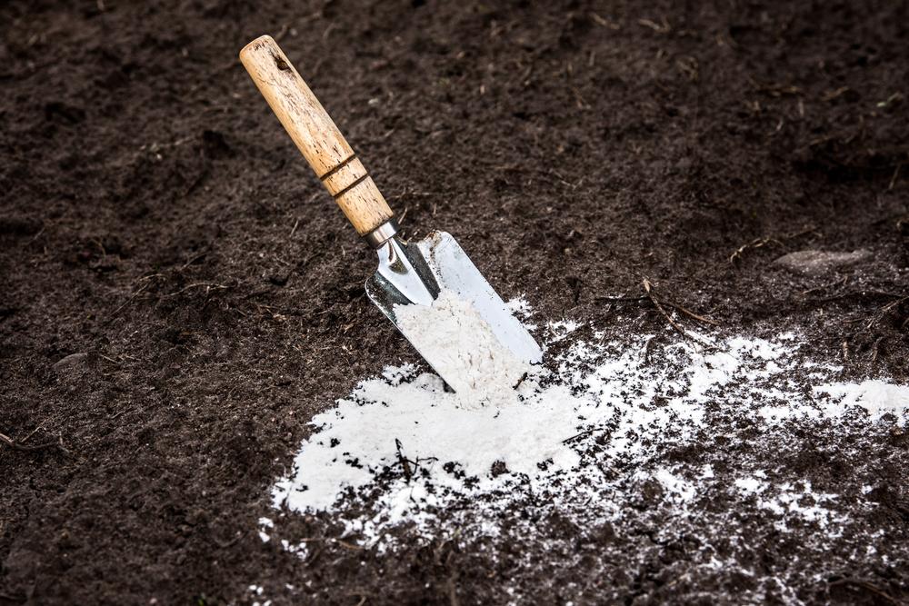 Calcário Agrícola Dolomítico 5kg Corretivo de Solo para Hortas e Jardins