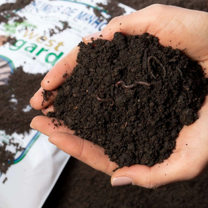 Húmus de Minhoca Orgânico Natural para Adubação e Jardinagem
