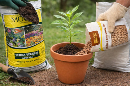 Kit Plantio Terra Vegetal Adubada + Argila Expandida 2kg 5kg 10kg