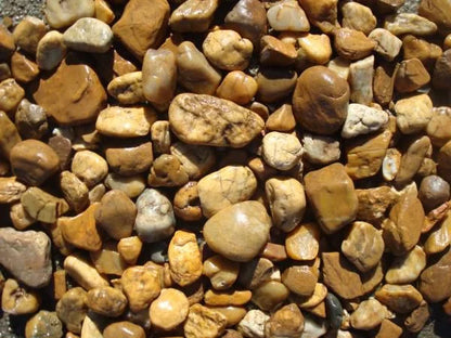Seixo de Rio Pedra Natural Decorativa para Jardinagem – Franco Garden
