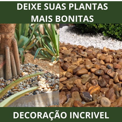 Seixo de Rio Pedra Natural Decorativa para Jardinagem – Franco Garden