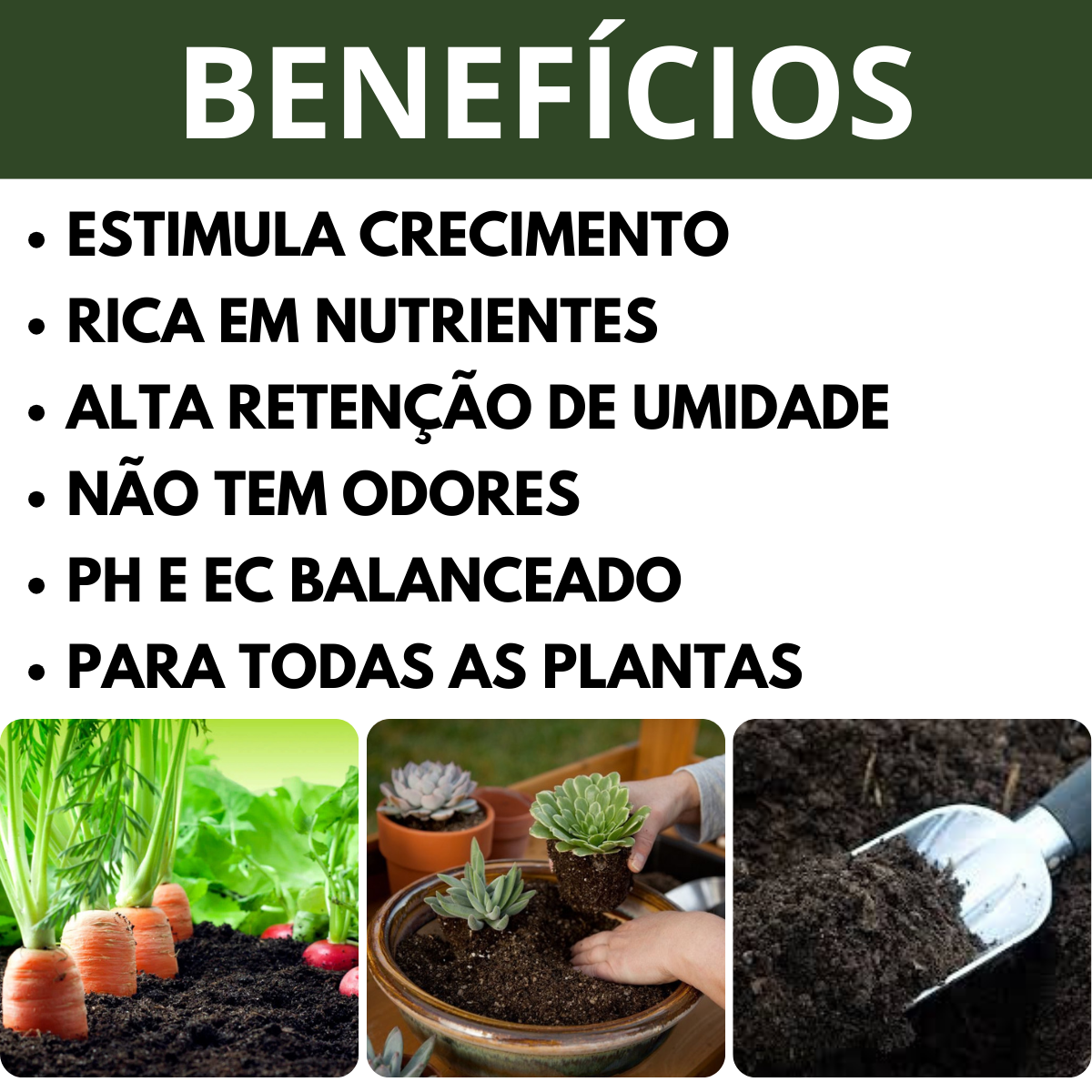 Terra Vegetal Natural Rica em Matéria Orgânica para Jardinagem