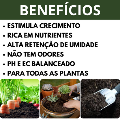 Terra Vegetal Natural Rica em Matéria Orgânica para Jardinagem