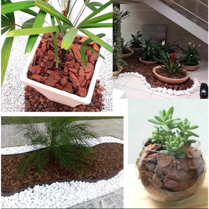 Casca de Pinus Grande Natural para Jardinagem e Paisagismo
