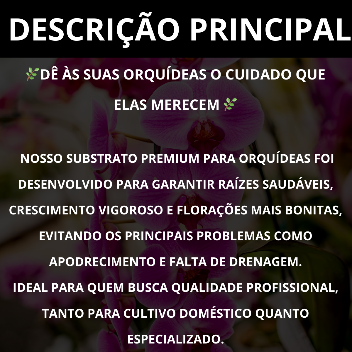 Substrato para Orquídeas Premium Alta Drenagem Pronto para Uso Orquimix - Franco Garden
