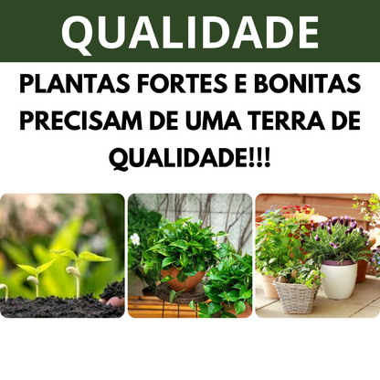 Terra Vegetal Natural Rica em Matéria Orgânica para Jardinagem