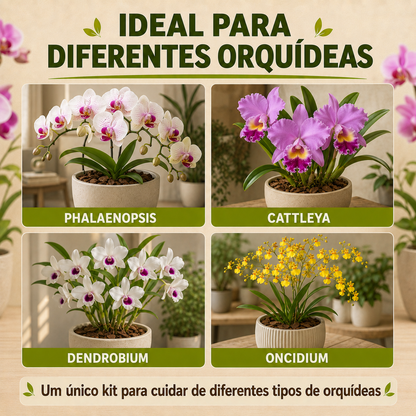 Kit Completo para Orquídeas - Substrato, Argila e Casca de Pinus