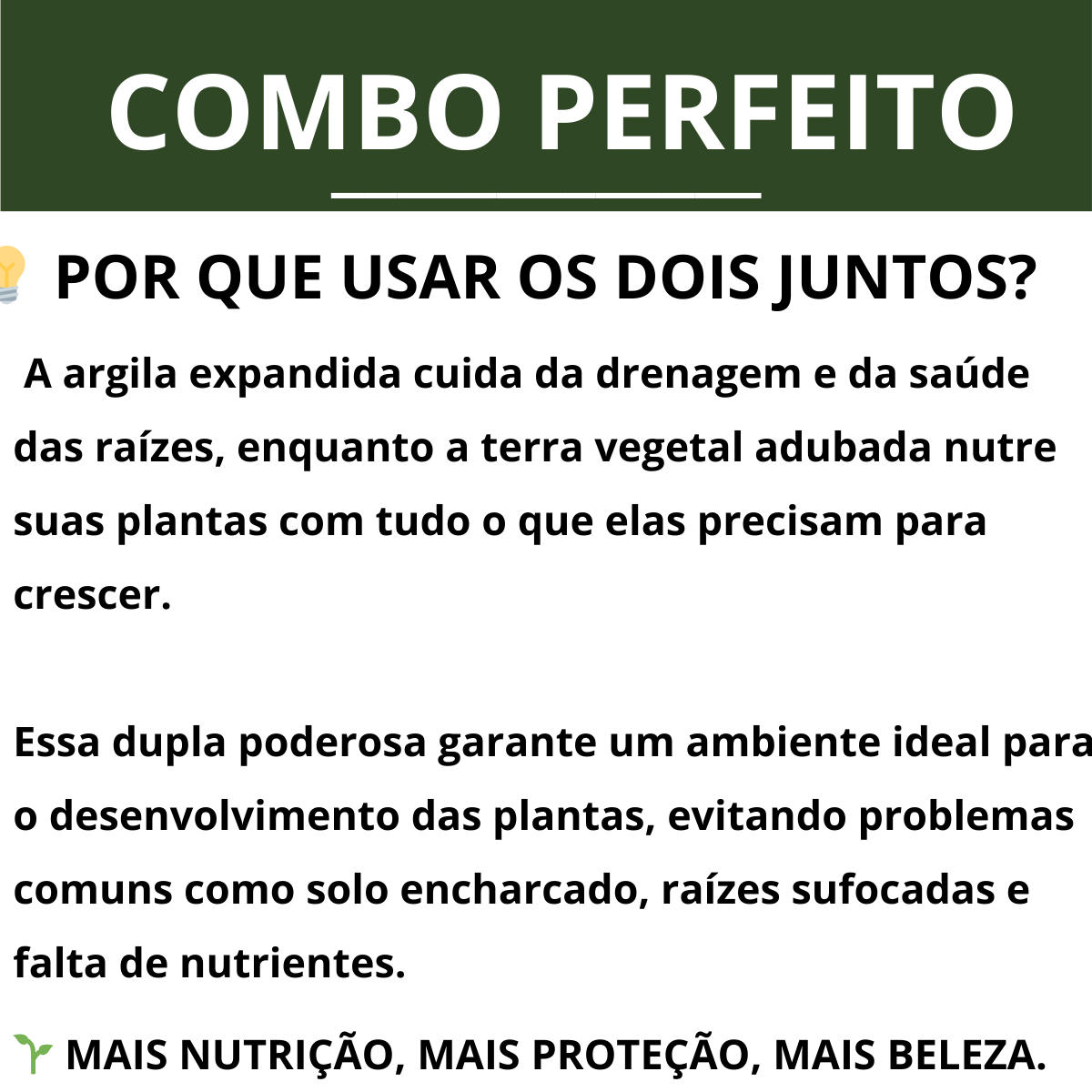 Kit Plantio Terra Vegetal Adubada + Argila Expandida 2kg 5kg 10kg