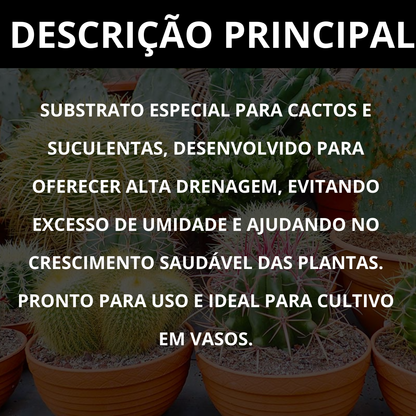 Substrato para Cactos Alta Drenagem Pronto para Uso Cactus