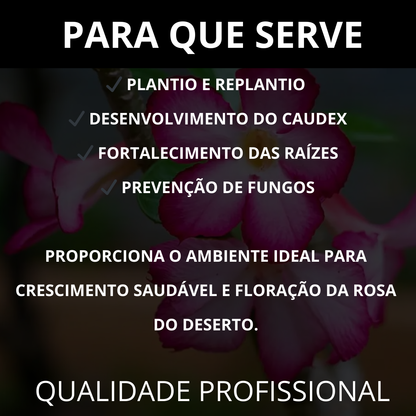 Substrato para Rosa do Deserto Premium Alta Drenagem Pronto Uso – Franco Garden