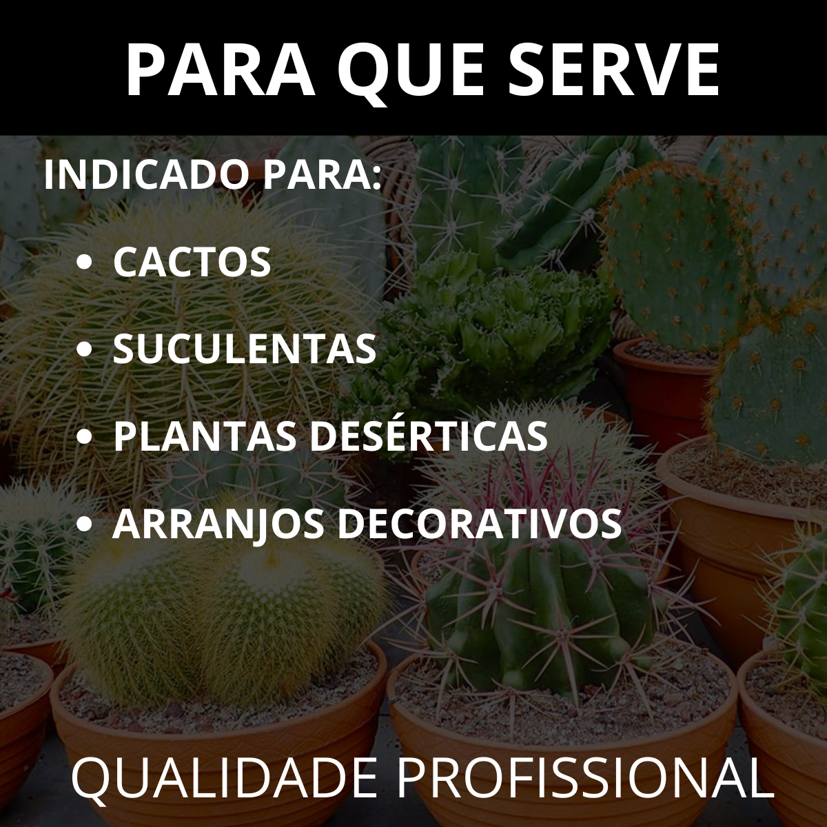 Substrato para Cactos Alta Drenagem Pronto para Uso Cactus