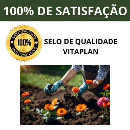 Terra Vegetal Natural Rica em Matéria Orgânica para Jardinagem