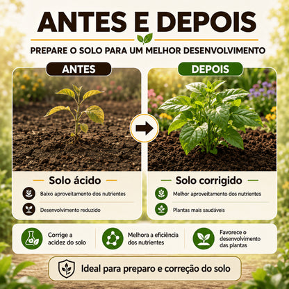 Calcário Dolomítico Agrícola - Corretivo de Solo com Cálcio e Magnésio