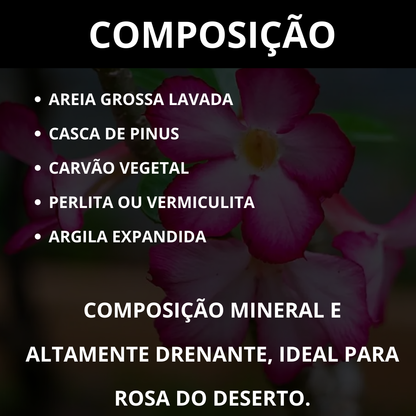 Substrato para Rosa do Deserto Premium Alta Drenagem Pronto Uso – Franco Garden