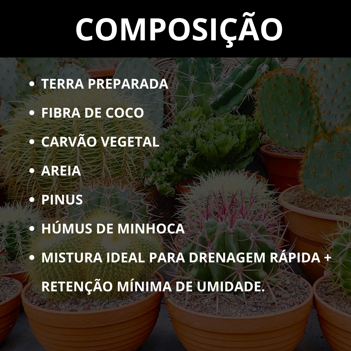 Substrato para Cactos Alta Drenagem Pronto para Uso Cactus
