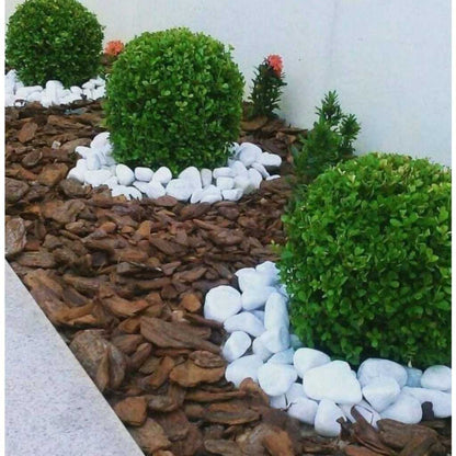 Casca de Pinus Grande Natural para Jardinagem e Paisagismo