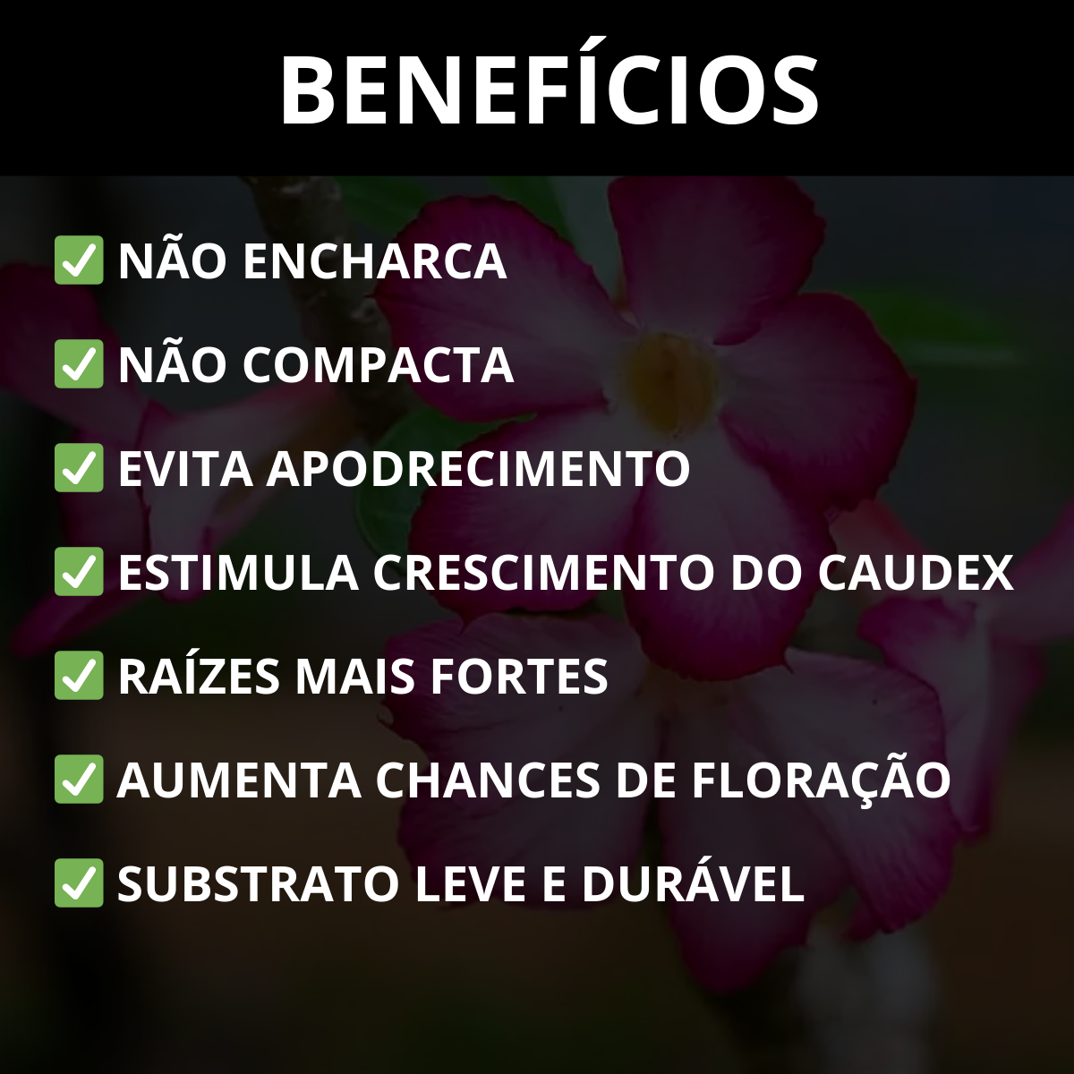 Substrato para Rosa do Deserto Premium Alta Drenagem Pronto Uso – Franco Garden