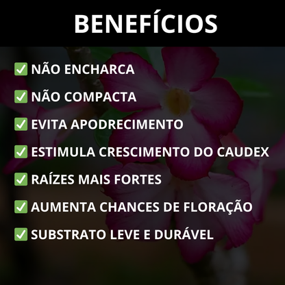 Substrato para Rosa do Deserto Premium Alta Drenagem Pronto Uso – Franco Garden
