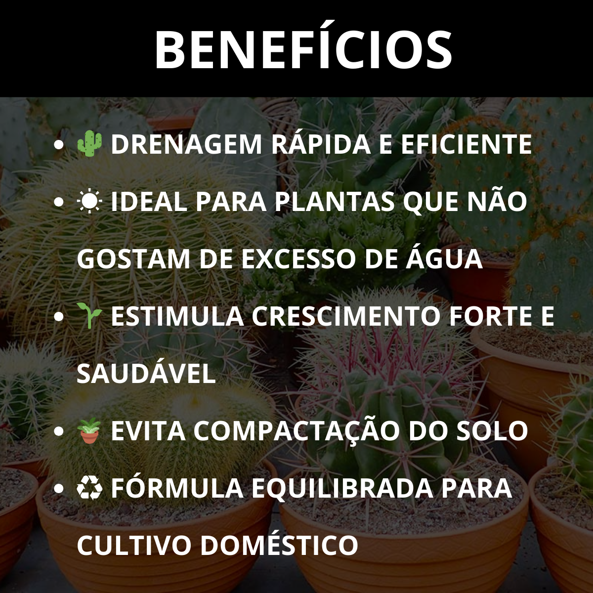 Substrato para Cactos Alta Drenagem Pronto para Uso Cactus