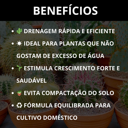 Substrato para Cactos Alta Drenagem Pronto para Uso Cactus
