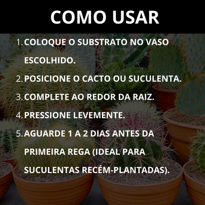 Substrato para Cactos Alta Drenagem Pronto para Uso Cactus