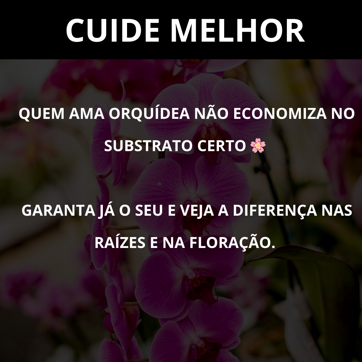 Substrato para Orquídeas Premium Alta Drenagem Pronto para Uso Orquimix - Franco Garden