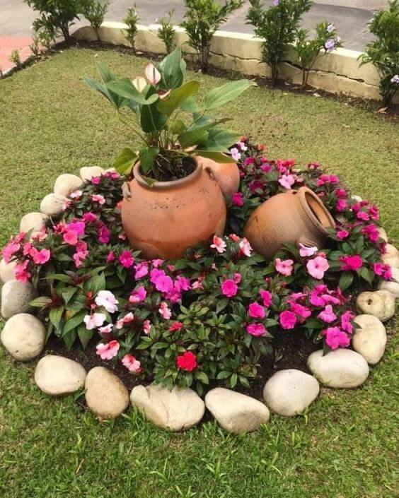 Flores e ornamentais