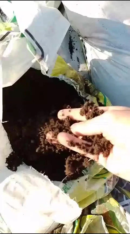 Terra Vegetal Orgânica Terra Forte 10kg Pronta para Plantio