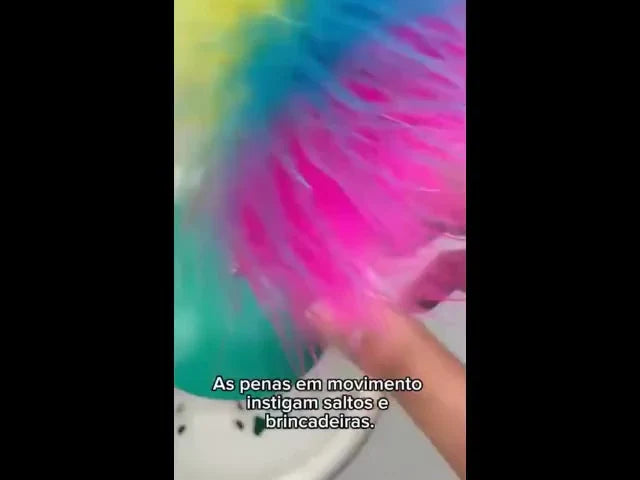 Brinquedo Interativo João Bobo com Penas e Bolinha para Gatos