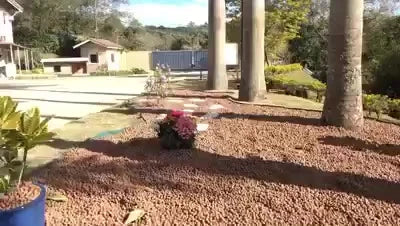 Argila Expandida Terra Forte para Jardinagem e Decoração 2L 5L 10L