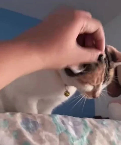 Coleira Elástica para Gato com Guizo Ajustável Cores Sortidas