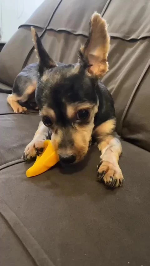 Mordedor Bananinha Escova de Dente para Cachorro MAYLON PET