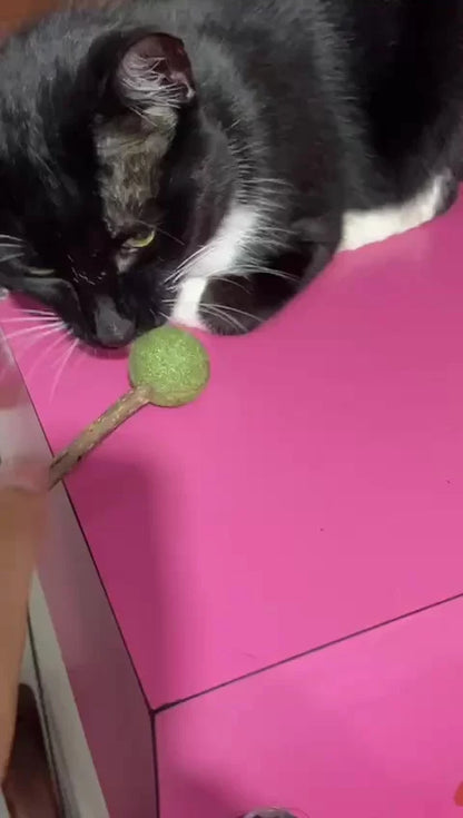 Pirulito Catnip Matatabi para Gatos Brinquedo Estimulante