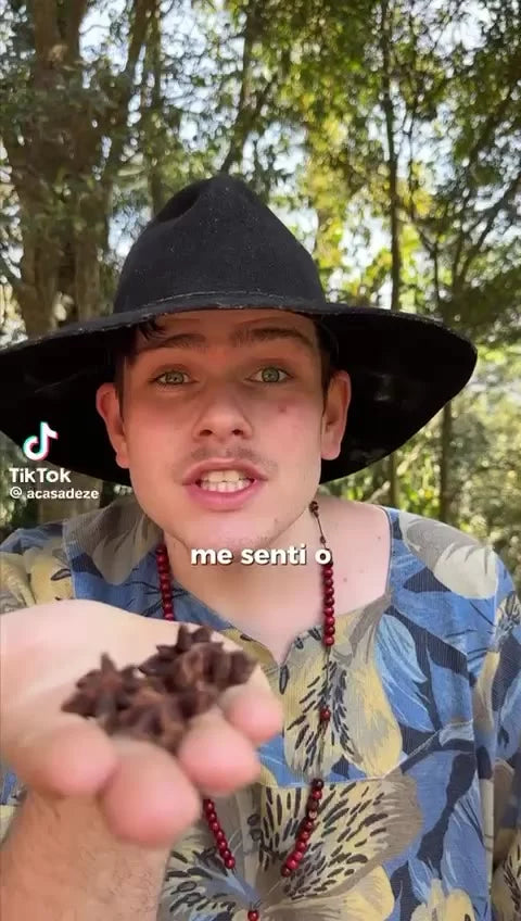 Anis Estrelado Premium 100% Natural para Chá e Culinária