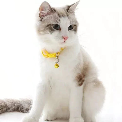 Coleira Elástica para Gato com Guizo Ajustável Cores Sortidas