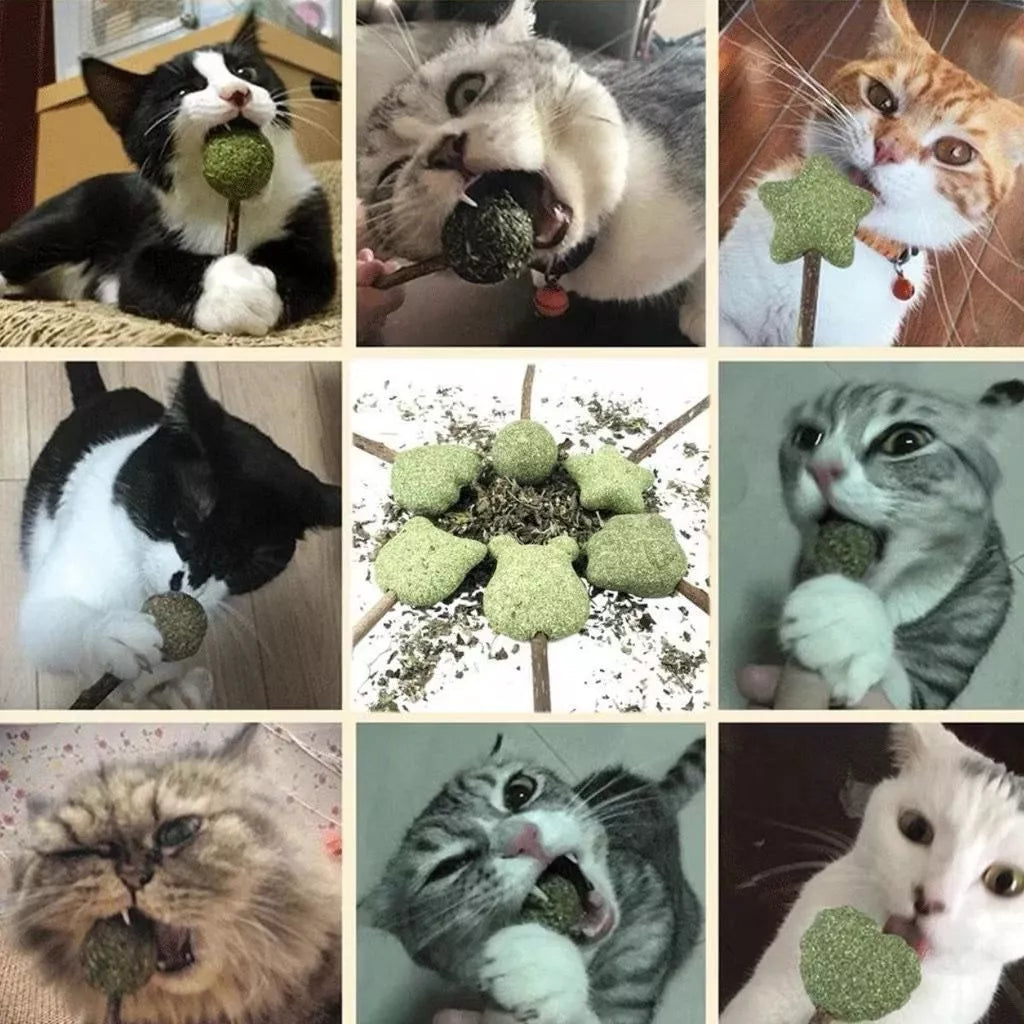 Pirulito Catnip Matatabi para Gatos Brinquedo Estimulante