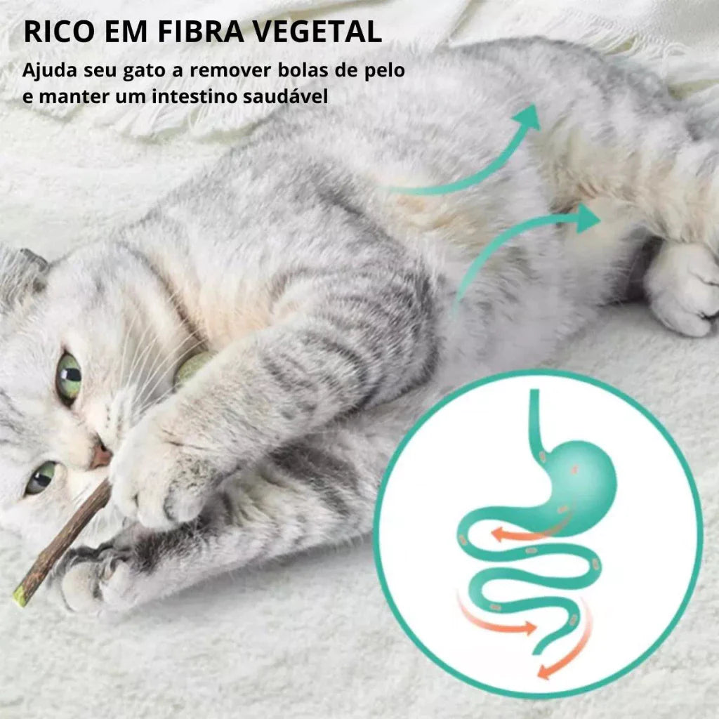 Pirulito Catnip Matatabi para Gatos Brinquedo Estimulante