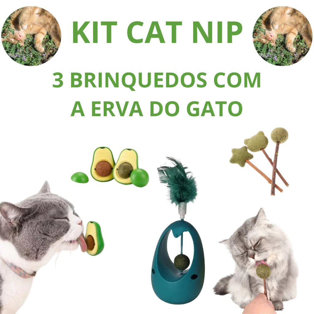 Kit Catnip com 3 Brinquedos Interativos para Gatos