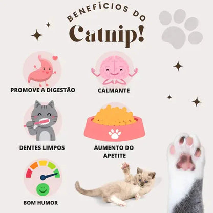 Kit Catnip para Gatos Abacate Lambe Lambe + Pirulito Natural