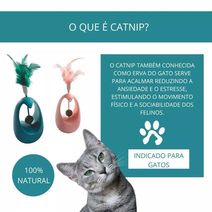Kit Catnip com 3 Brinquedos Interativos para Gatos