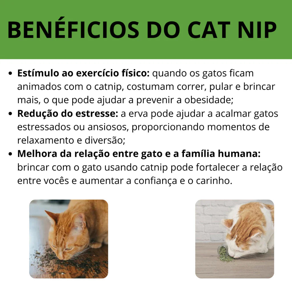 Pirulito Catnip Matatabi para Gatos Brinquedo Estimulante