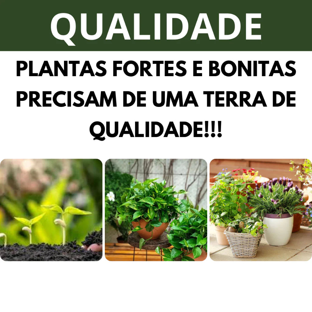 Terra Vegetal Orgânica Terra Forte 10kg Pronta para Plantio