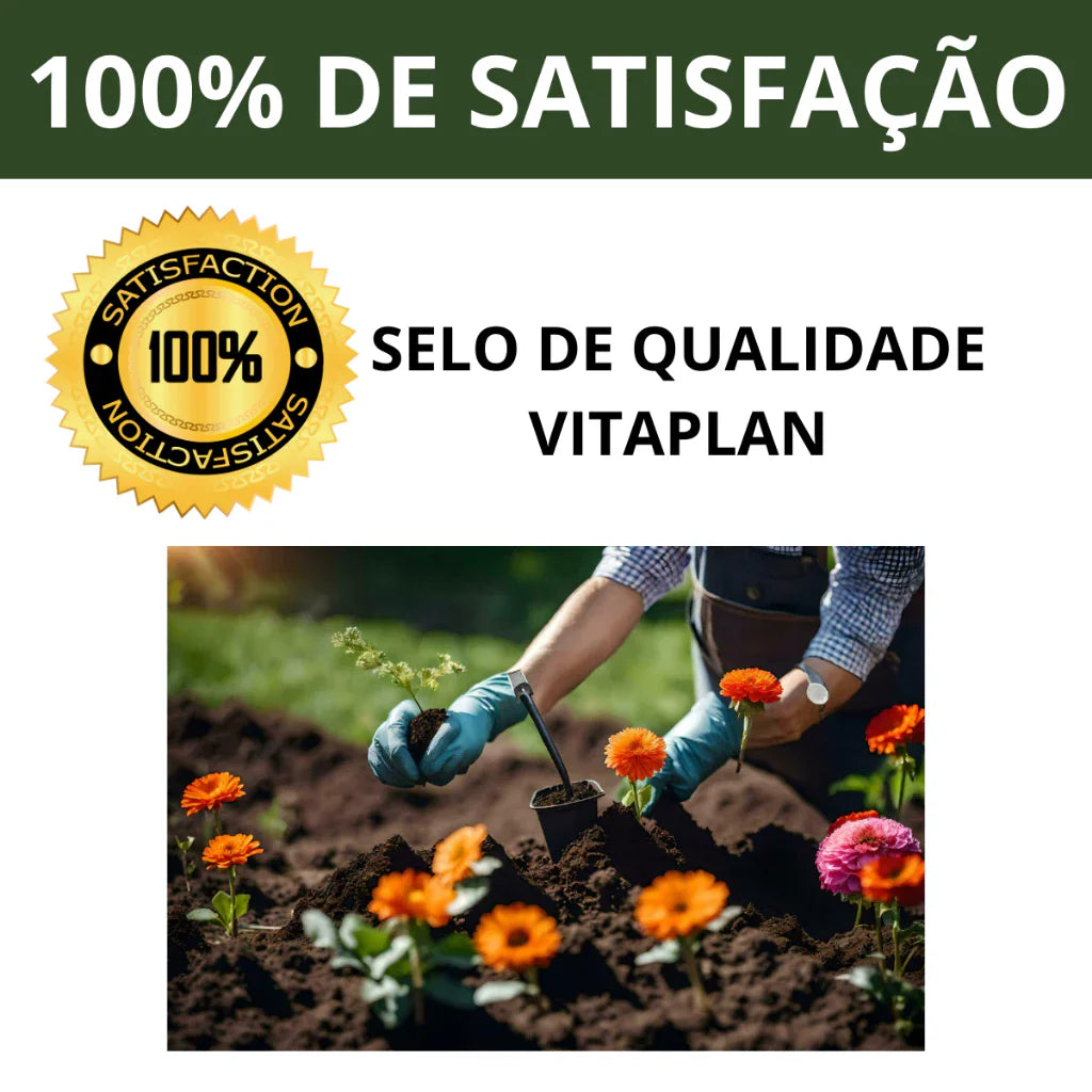 Terra Vegetal Orgânica Terra Forte 10kg Pronta para Plantio