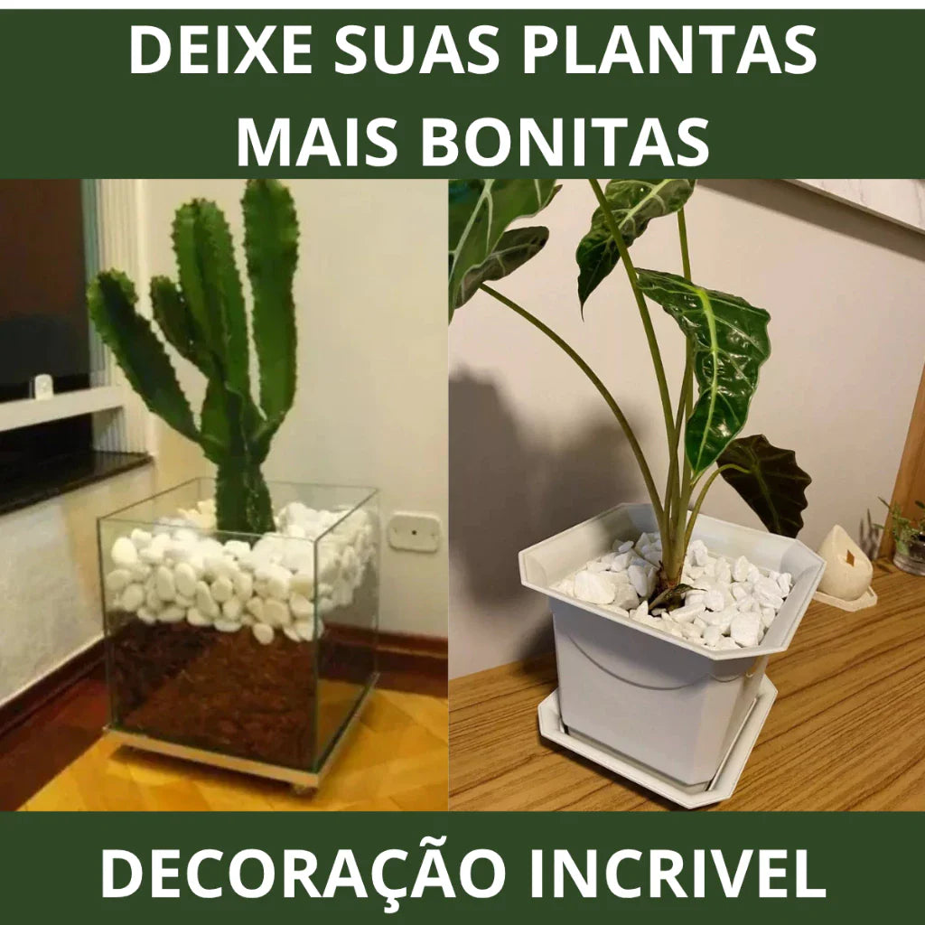 Pedra Seixo Branco Dolomita 5 kg para Jardim e Vasos