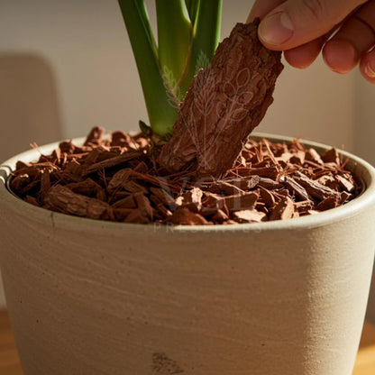 Casca de Pinus Polida Premium para Jardinagem e Decoração 5L 10L 20L
